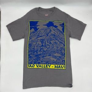 Vintage Beefy T Hanes Small IAO Valley MAUI Classic Tee